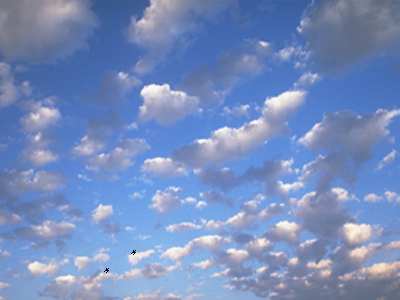 20070331033225-foto-volar.jpg